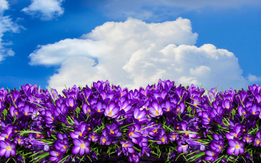 1449010 (a): :2880x1800